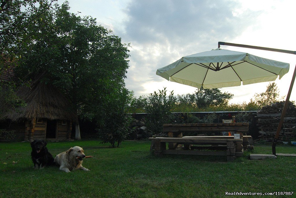 Casa Mosului-Fagaras Mountains, Transylvania | Image #11/24 | 