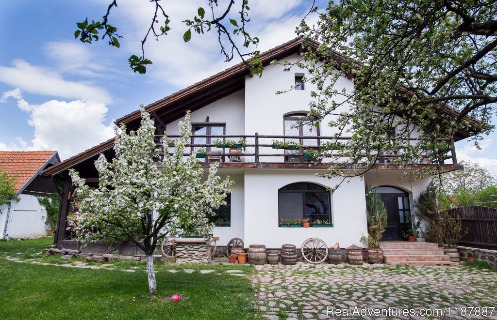 Casa Mosului-Fagaras Mountains, Transylvania | Image #14/24 | 