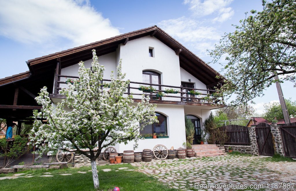 Casa Mosului-Fagaras Mountains, Transylvania | Image #16/24 | 