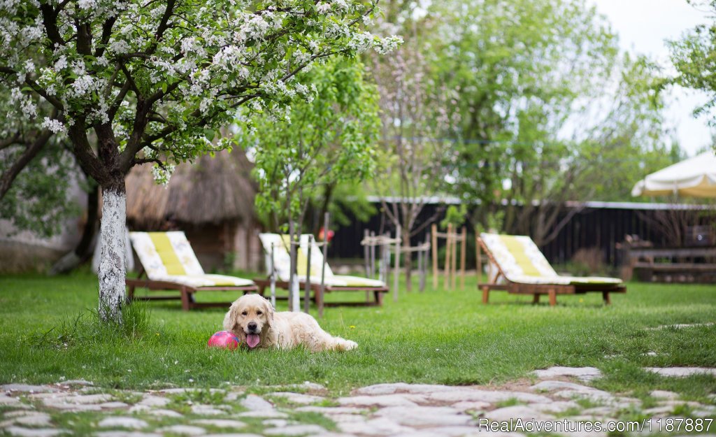 Casa Mosului-Fagaras Mountains, Transylvania | Image #17/24 | 