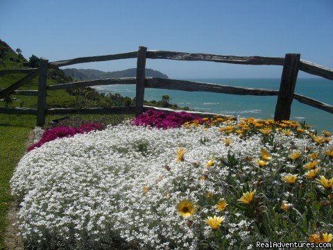 View across the flower garden | Beachfront Hunting Fishing Loghouse | Image #7/19 | 