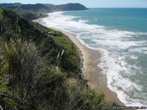 Our beach  | Beachfront Hunting Fishing Loghouse | Image #9/19 | 