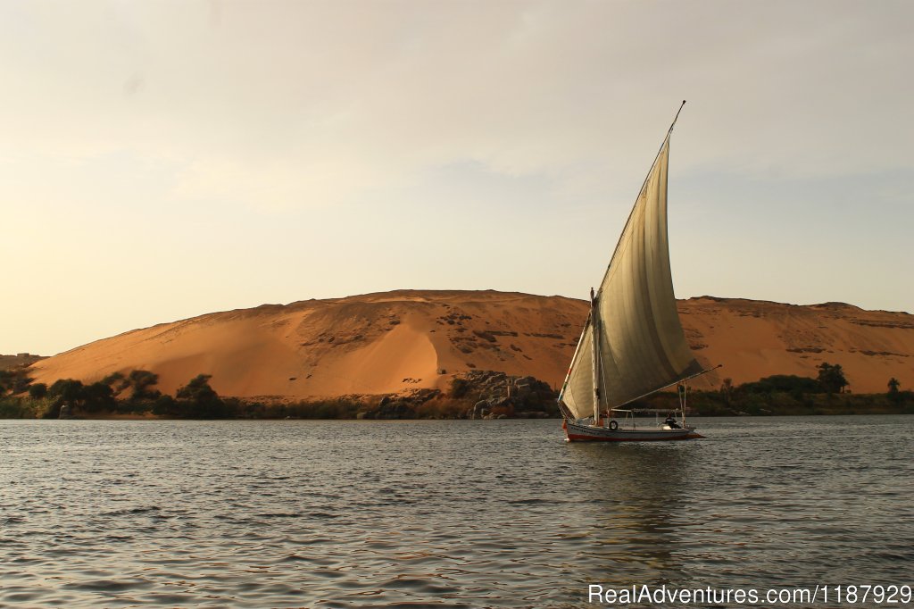 Tour To Aswan & Abu- Simbel By Train  2days / 3nights | Pharaonic tour guide | Image #22/26 | 