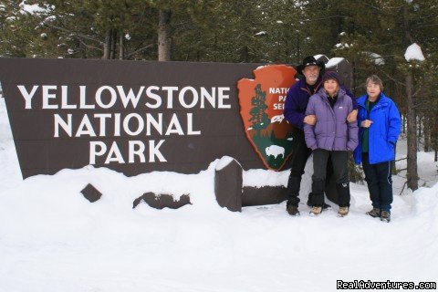 Seniors Invade Yellowstone | Yurtilicious | West Yellowstone, Wyoming  | Articles | Image #1/9 | 