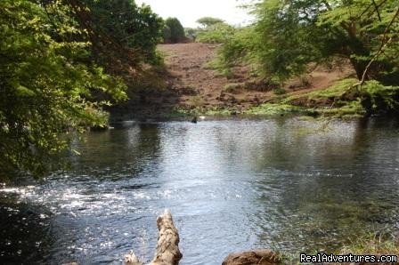 Mzima springs at the Tsavo West national park | Kenya safari tour operator for Nairobi and Mombasa | Image #2/24 | 