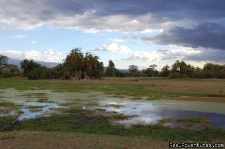 Scenery at Amboseli. | Kenya safari tour operator for Nairobi and Mombasa | Image #20/24 | 