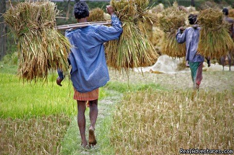 Bangladesh Village home stay Trip with Bangladesh Expedition | Bangladesh Tour | Image #3/11 | 