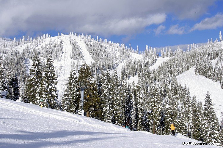 McClould Vacation Home, Mt. Shasta | Image #11/13 | 