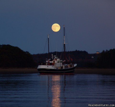 Sail The Caribbean On A Private Yacht | Image #7/8 | 