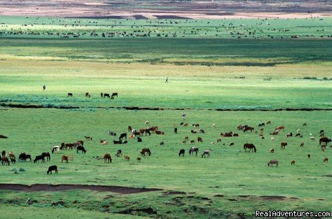 Amara land | Tours in Ethiopia ..The right way | Image #9/17 | 