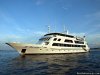 Dive the Maldives on MV Yasawa Princess | Male, Maldives