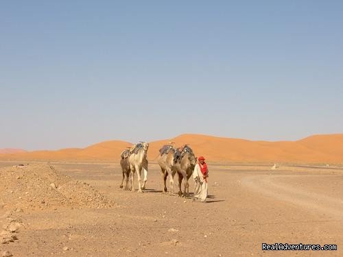 Dar el Khamlia, Erg Chebbi | Image #11/14 | 