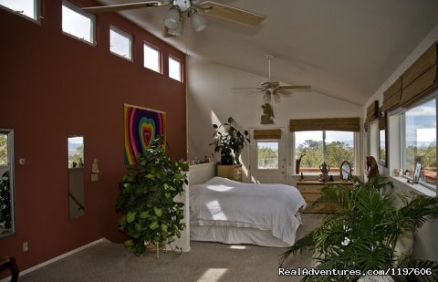 Luxury Suite with patio in Main House
