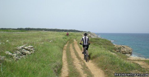 biking tours of Puglia - Apulia  | PATH, gourmet bike tours in Apulia (Puglia) | Image #3/3 | 