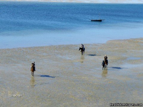 Horse riding | Experience Paradise Archipelago Resort, Vilanculos | Image #3/6 | 