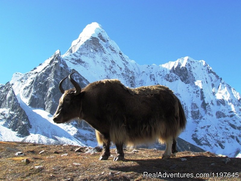 Mt. Everest Top Of The World | Trekking and Hiking in Nepal | Image #2/5 | 