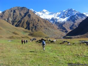 Valley of Flowers Trekking | New Delhi, India | Hiking & Trekking