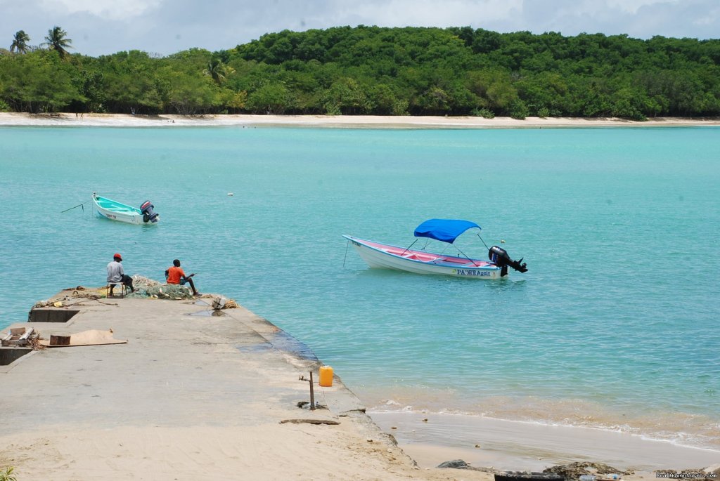 Buccoo Bay and jetty | Reef View Apartments | Image #10/17 | 