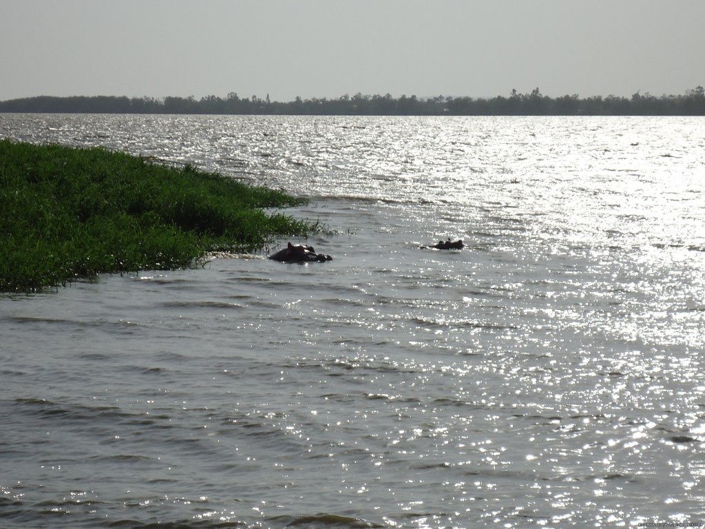 view Lake Victoria from our rooftop | Hotel Near Lake& Self Catering Hostel,Kisumu,Kenya | Image #5/25 | 