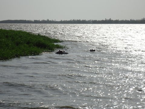 view Lake Victoria from our rooftop