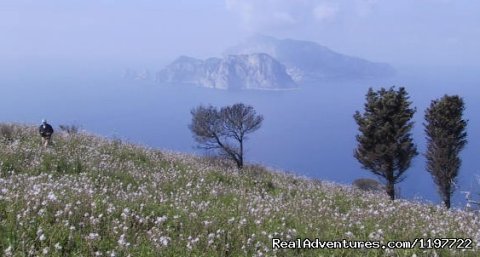 capri 