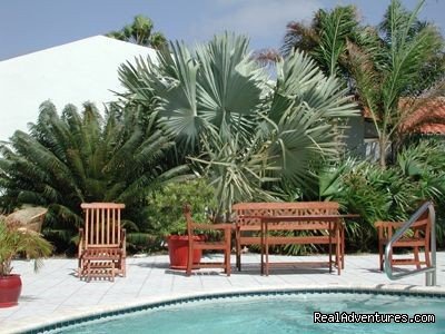 Aruba Harmony Apartments B & B | Aruba Harmony, a charming place to be! | Image #4/13 | 