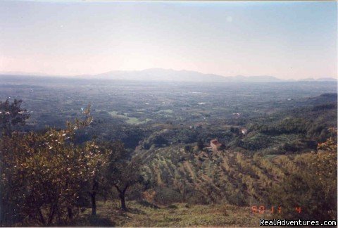 Casa Rossa, Tuscany | Image #6/6 | 