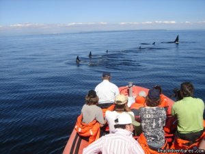 Gulf Islands Canada