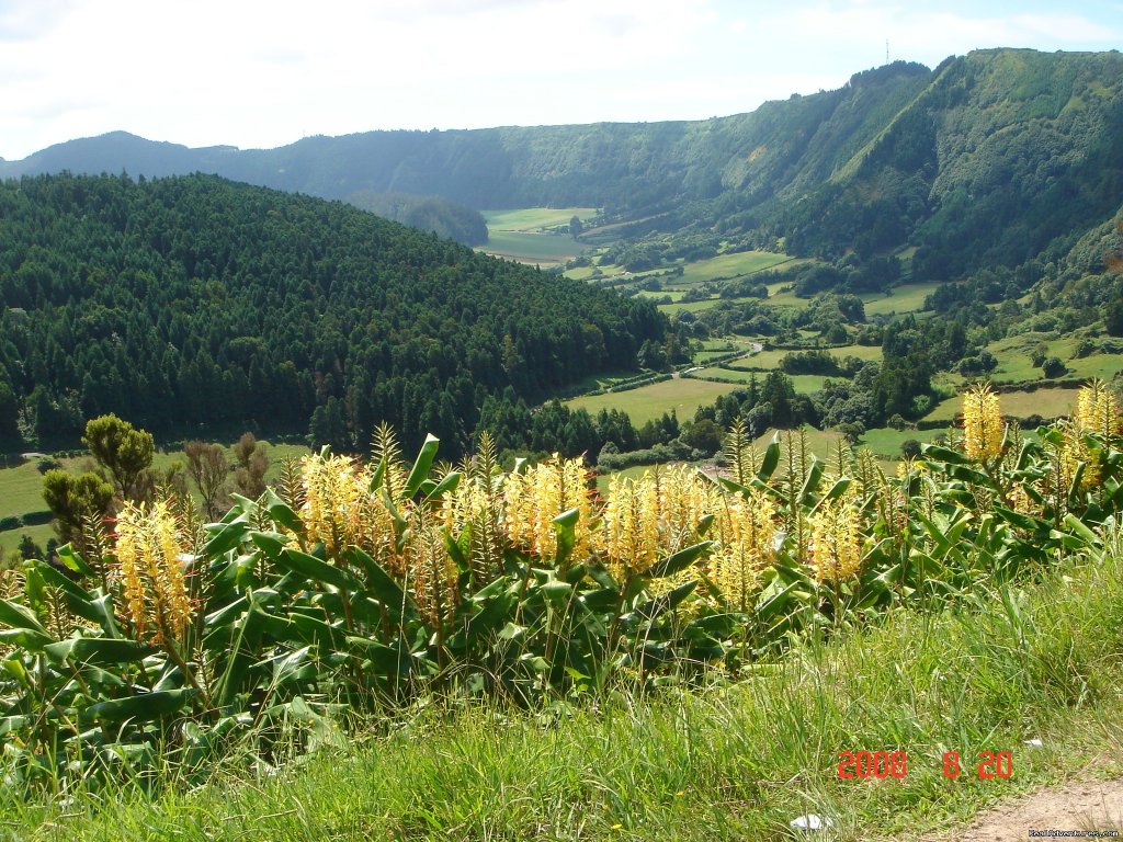 Azores Van & Car Tours | Image #4/26 | 