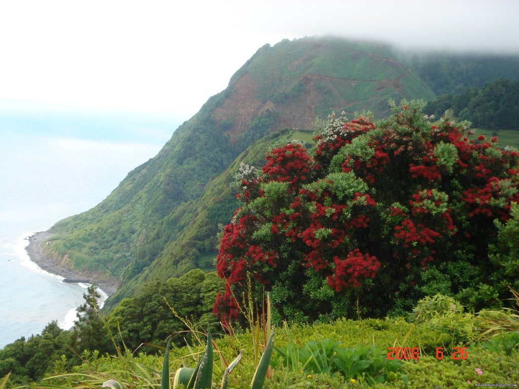 Azores Van & Car Tours | Image #20/26 | 