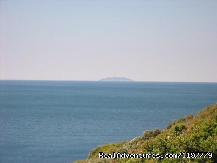 Holiday Apartment Tuscany Coast Near Pisa | Image #3/25 | 