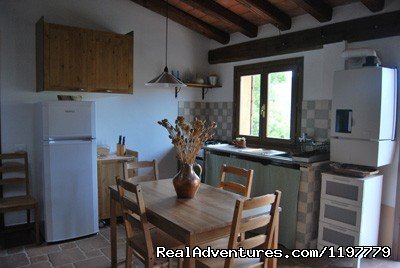 Holiday Apartment Tuscany Coast Near Pisa | Image #6/25 | 