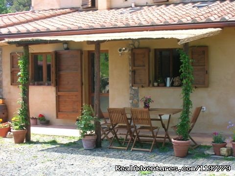 Holiday Apartment Tuscany Coast Near Pisa | Image #8/25 | 