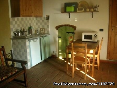 Holiday Apartment Tuscany Coast Near Pisa | Image #15/25 | 