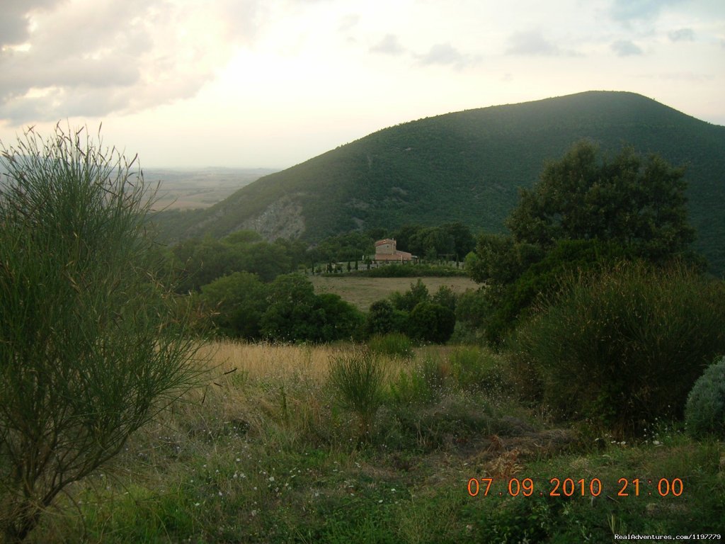 Holiday Apartment Tuscany Coast Near Pisa | Image #18/25 | 