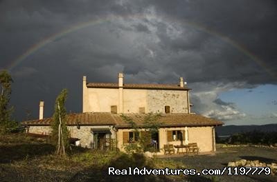 Holiday Apartment Tuscany Coast Near Pisa | Image #19/25 | 