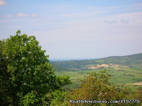 Holiday Apartment Tuscany Coast Near Pisa | Image #20/25 | 