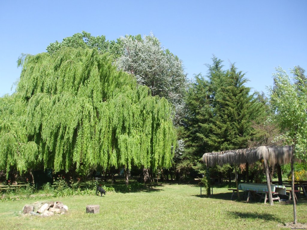 garden  | Lodging in rural house at  Aconcagua Valley | Image #6/15 | 