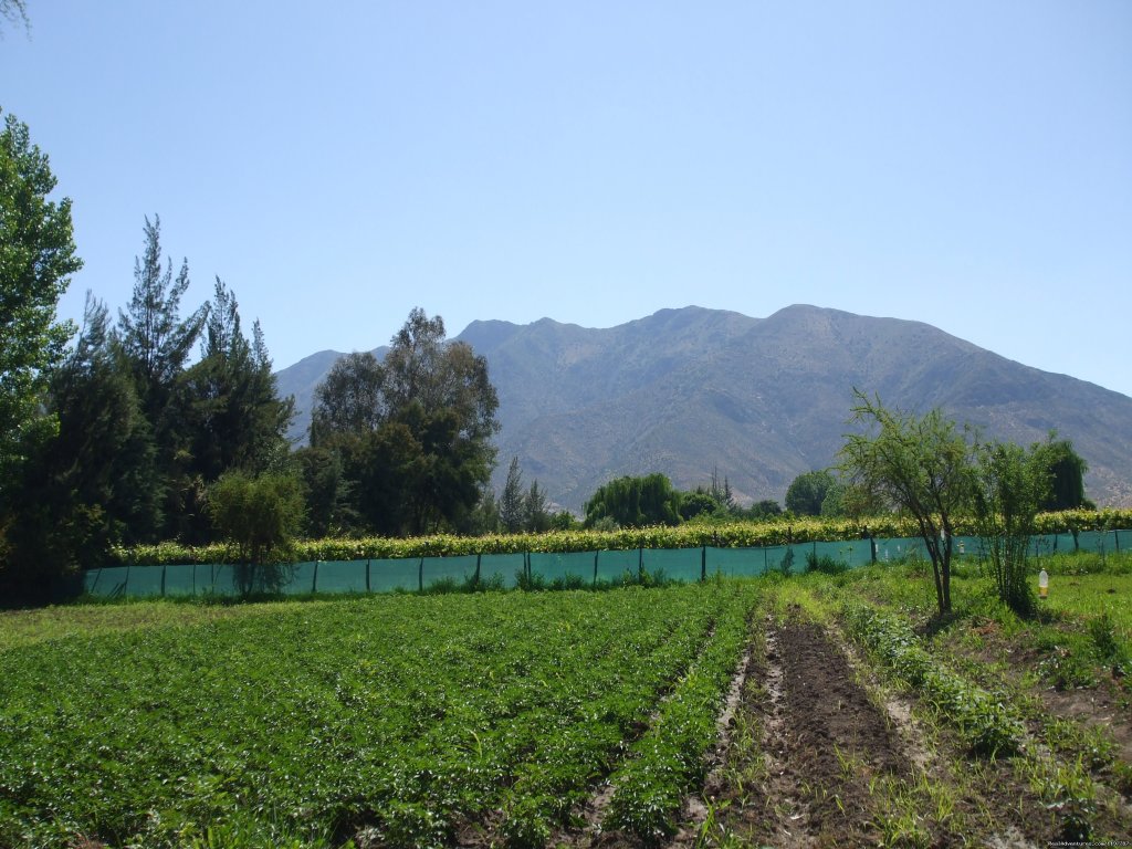 Lodging in rural house at  Aconcagua Valley | Image #8/15 | 