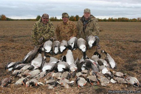 Alberta Waterfowl | Image #2/3 | 