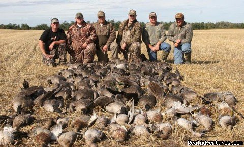 Alberta Waterfowl | Image #3/3 | 