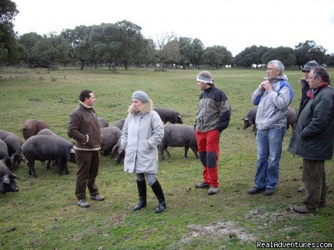 Iberico Ham Tour Andalusia | Culinary Vacations in Spain | Image #3/3 | 