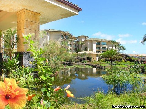 Lush tropical landscaping around the koi pond