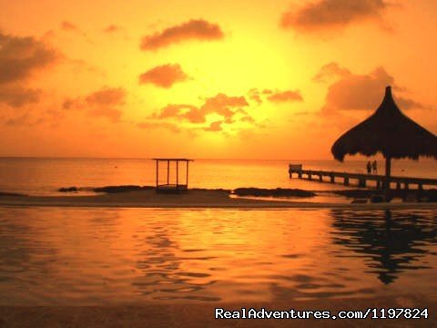 Cozumel Vacation Rentals - Villa Coralina | Cozumel, Mexico | Vacation Rentals | Image #1/1 | 