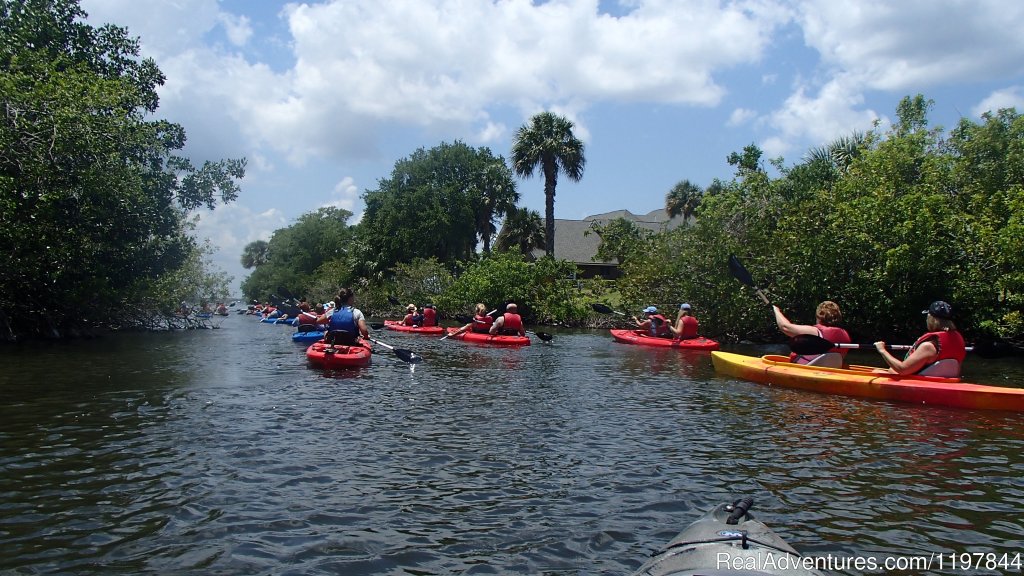 A Day Away Kayak Tours | Image #7/11 | 