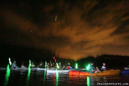 Launching a Bioluminescent Tour