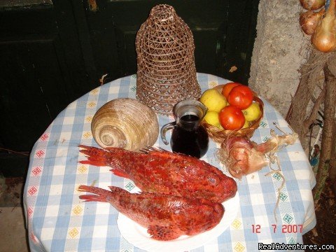 organic food | villa Radulj | Dalmatia, Croatia | Bed & Breakfasts | Image #1/13 | 