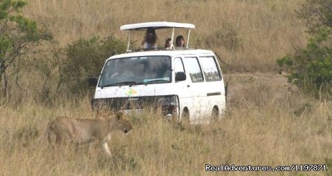 Game Drive