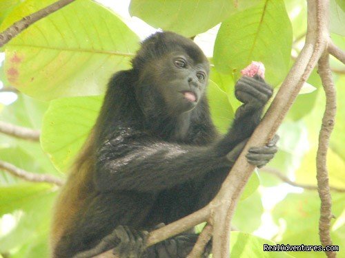 Bill Beard River Rafting Pacuare River Costa Rica | Image #6/10 | 