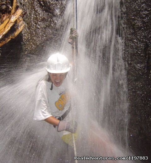 Original Wet & Wild in Costa Rica | Scuba Diving In Costa Rica With Bill Beard | Image #13/23 | 